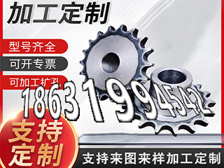 日本齿轮源头厂家